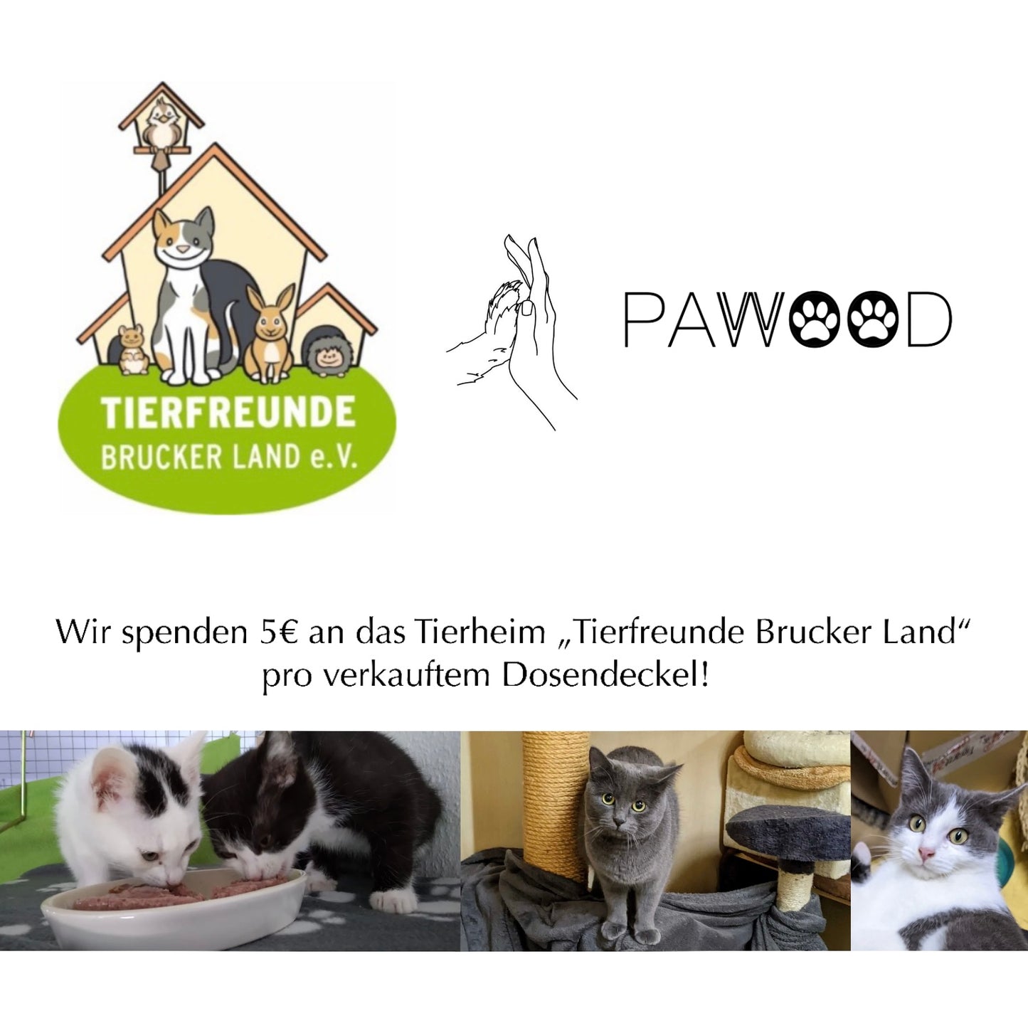 Dosendeckel 800g